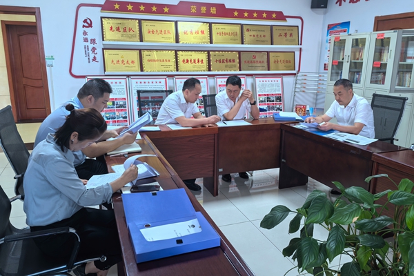 2 专项监视检查_副本.jpg