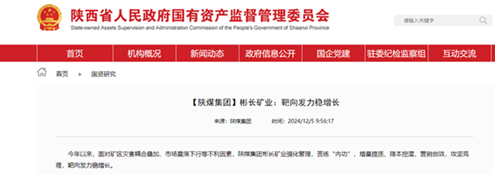 【省国资委网】yl6776永利集团矿业：靶向发力稳增添.png